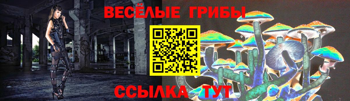 Псилоцибиновые грибы Psilocybine cubensis Первоуральск